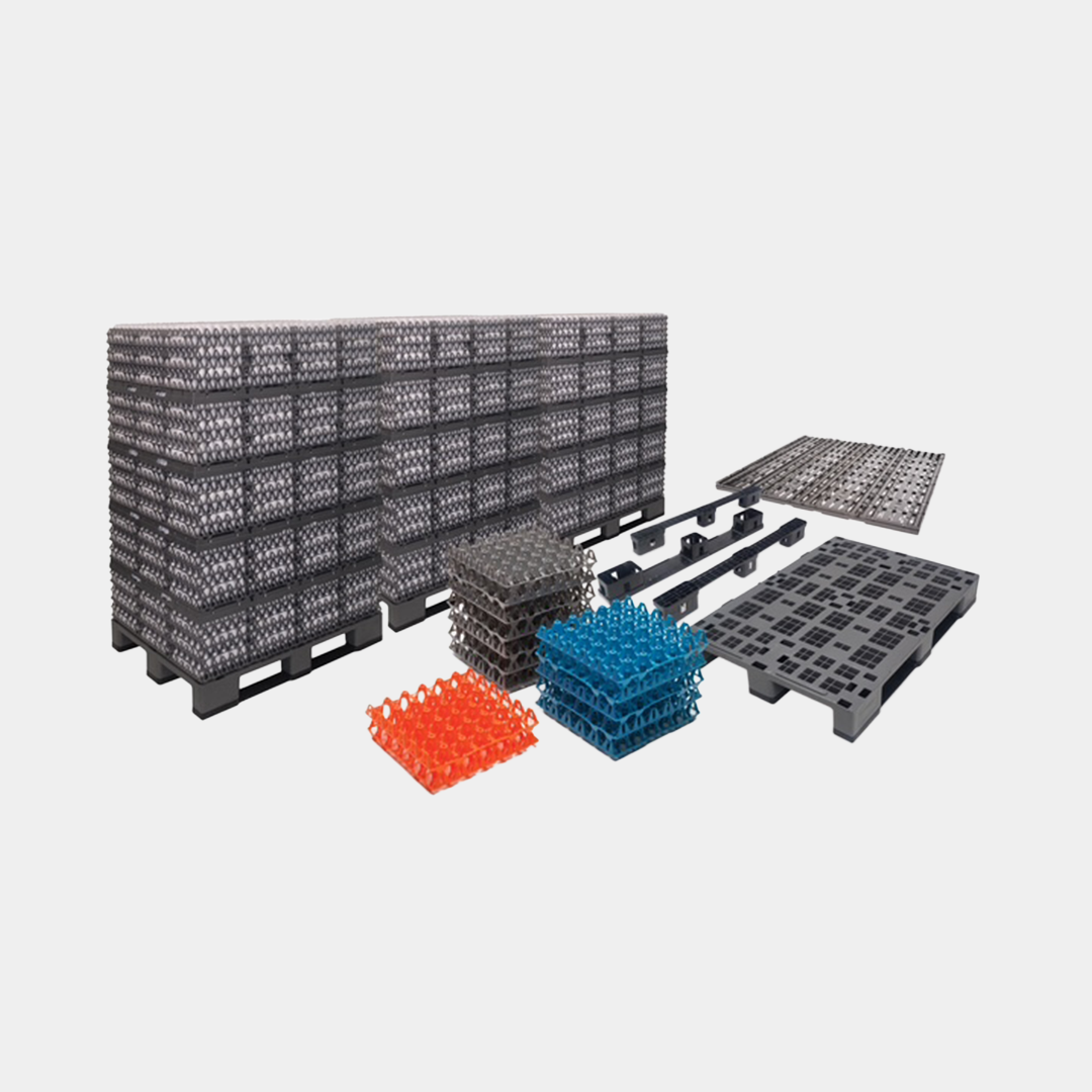 Sistema para Transporte de Huevo